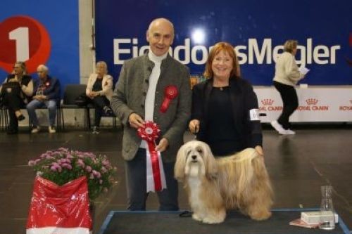 BESTE VETERAN DAG2.JPG